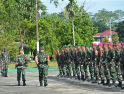 Danrem 174/ATW Pimpin Upacara Serah Terima Satgas Pamwil Obvitnas PT. FI dan Mupe Yonmar 3