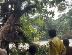 Yonif 143/TWEJ dan Warga Bangun Jembatan Darurat di Dungai Digoel untuk Lancarkan Mobilitas dan Ekonomi