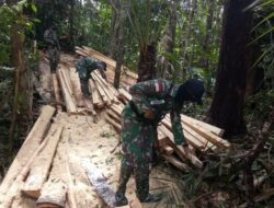 Yonif 642/Kapuas Amankan Kayu Hasil Illegal Logging di Perbatasan
