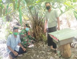 Danramil Teluk Keramat Tinjau Peternak Madu Trigona di Wilayah Binaannya