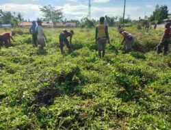 TNI Gelar Karya Bakti Sambut HUT RI ke-76 Bersama Warga Koya Barat Papua