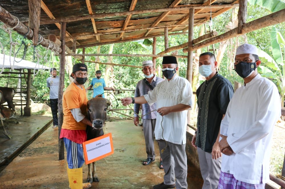 Kogabwilhan I Peduli Salurkan Hewan Kurban untuk Masyarakat