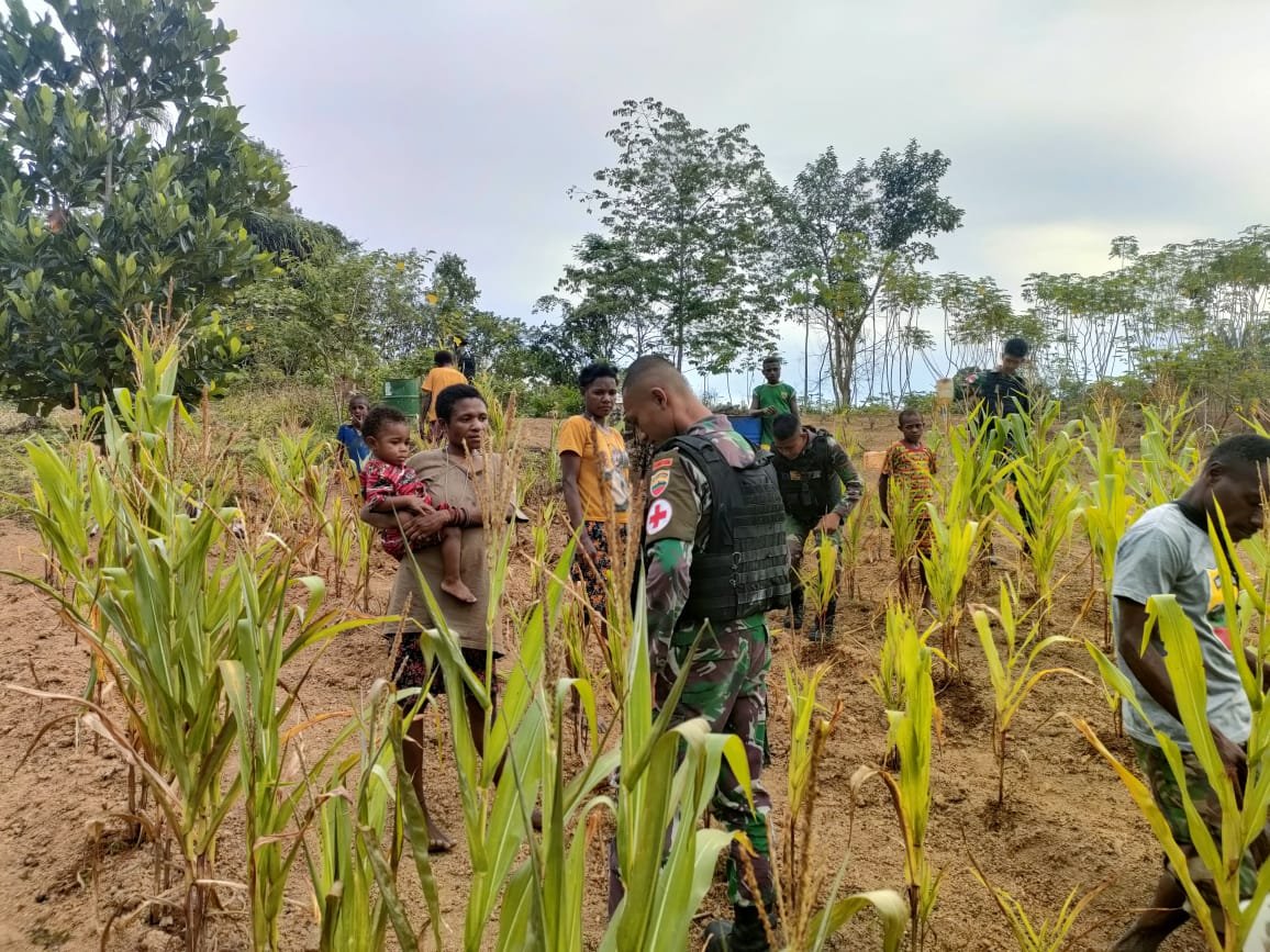 Satgas Yonif 126/KC Bantu Berkebun Wujudkan Kemanunggalan dengan Masyarakat Perbatasan Papua