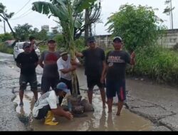 Sindiran Warga Tanjung Pasir: Jalan Rusak Jadi Kebun Pisang, Pejabat di Mana