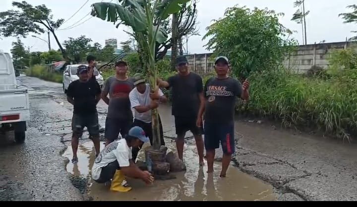 Sindiran Warga Tanjung Pasir: Jalan Rusak Jadi Kebun Pisang, Pejabat di Mana