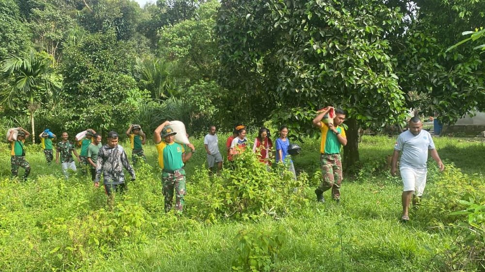 Satgas Yonarmed 1 Kostrad Bantu Panen Cengkeh di Desa Waelikut