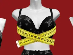 Toko Bra Terbaik di Los Angeles dengan Aksesori Pribadi