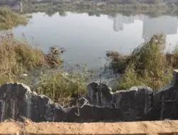 UP SIT selidiki kematian teknisi Noida, laporan 5 hari lagi