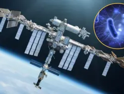 Virus yang berevolusi di stasiun luar angkasa lebih mematikan bagi bakteri