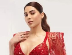 Nikki Tamboli menjelaskan posisi Vansraj Singh telah dihapus