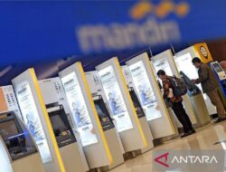 Danantara: Sampai saat ini belum ada diskusi tentang penggantian dewan direksi Himbra