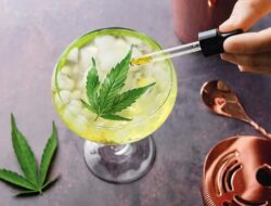 Penelitian menemukan bahwa minuman berbahan dasar ganja dapat membantu mengurangi kecanduan alkohol