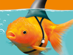 Setelah Inggris tidak bisa mengendalikan timnya