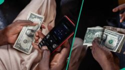 N1,396, ahli menjelaskan mengapa nilainya meningkat setelah keluarga runtuh