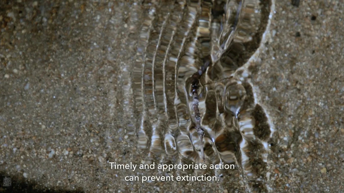 Film dokumenter ilmiah tentang kehancuran, kelaparan, kelelahan, dan kelelahannya (di-solo)