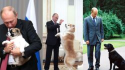 11 pemimpin dunia dan hewan peliharaan mereka: daftar berita