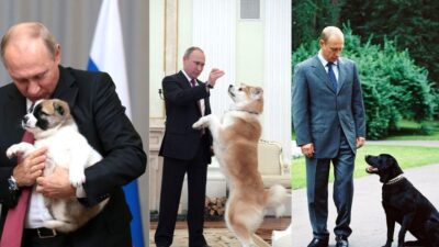 11 pemimpin dunia dan hewan peliharaan mereka: daftar berita