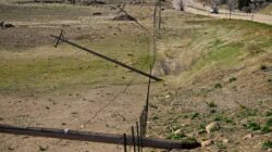 Xcel Energy Pemotongan listrik pencegahan disensor oleh anggota parlemen