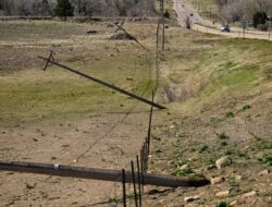 Xcel Energy Pemotongan listrik pencegahan disensor oleh anggota parlemen