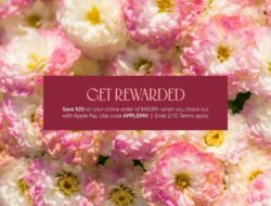 1-800-Flowers: Keluarnya bungkus bunga yang tersedia untuk Apple Pay dengan pengurangan 20 dolar