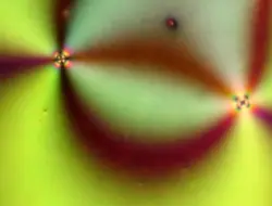 Para ilmuwan menggunakan AI untuk memecahkan kode yang paling rumit di alam dengan kecepatan 1.000 kali lebih cepat.