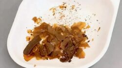 Studi baru menunjukkan bahwa kotoran manusia digunakan dalam pengobatan Romawi