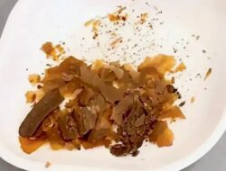 Studi baru menunjukkan bahwa kotoran manusia digunakan dalam pengobatan Romawi