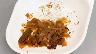 Studi baru menunjukkan bahwa kotoran manusia digunakan dalam pengobatan Romawi