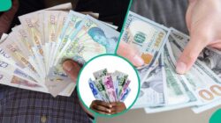 CBN menyesuaikannya, Naira kembali kuat, mencapai 1.392 Naira tertinggi dua tahun