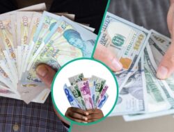 CBN menyesuaikannya, Naira kembali kuat, mencapai 1.392 Naira tertinggi dua tahun