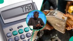 FG mengumumkan jadwal dan perubahan besar dalam sistem pajak baru untuk menghukum dan menghukum orang Nigeria
