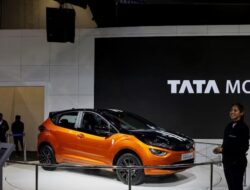 Permintaan yang kuat bisa mendorong pengembangan bantal TaMo