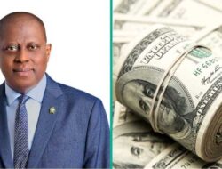 Nera: Saham luar Nigeria naik dari US$66 juta menjadi indeks Nera 461.1 miliar