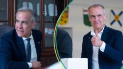 Pekerjaan listrik, insinyur, pengembang perangkat lunak: 9 pekerjaan paling tinggi di Kanada pada tahun 2016