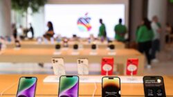 Apple di India mencapai rekor 28 persen dari sahamnya