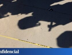 Hakim memerintahkan pembebasan Liam, anak laki-laki berusia lima tahun dan ayahnya yang ditahan oleh agen federal