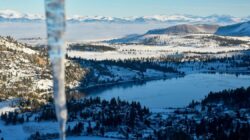 Seperti Mafia Without a Crowd: Panduan Danau Juni