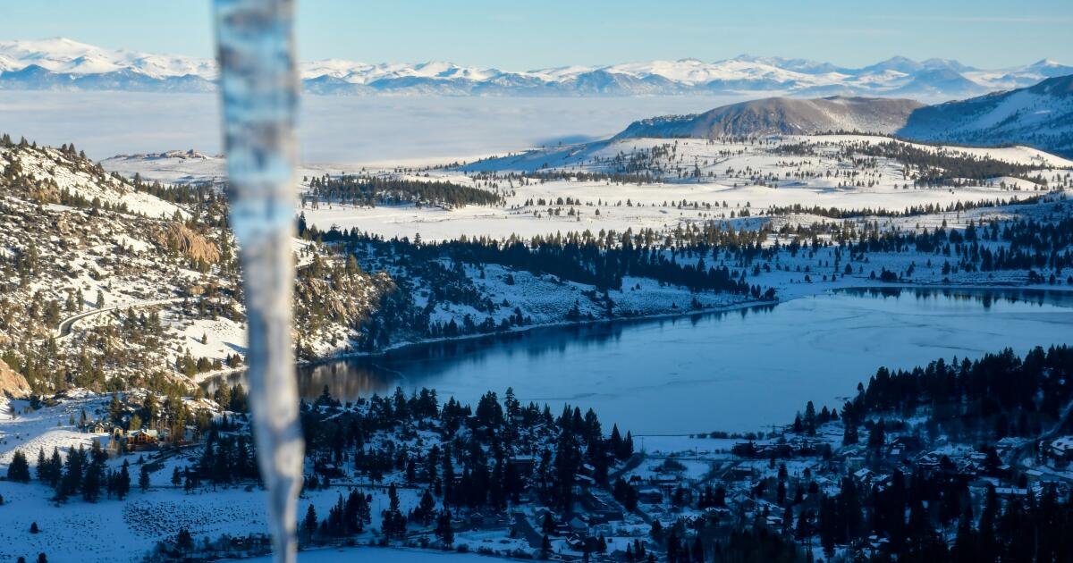 Seperti Mafia Without a Crowd: Panduan Danau Juni