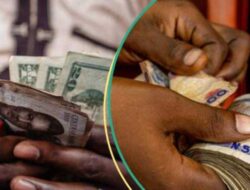 Pada bulan November, Nera naik secara tiba-tiba, dan dolar jatuh ke titik terendah dalam empat tahun