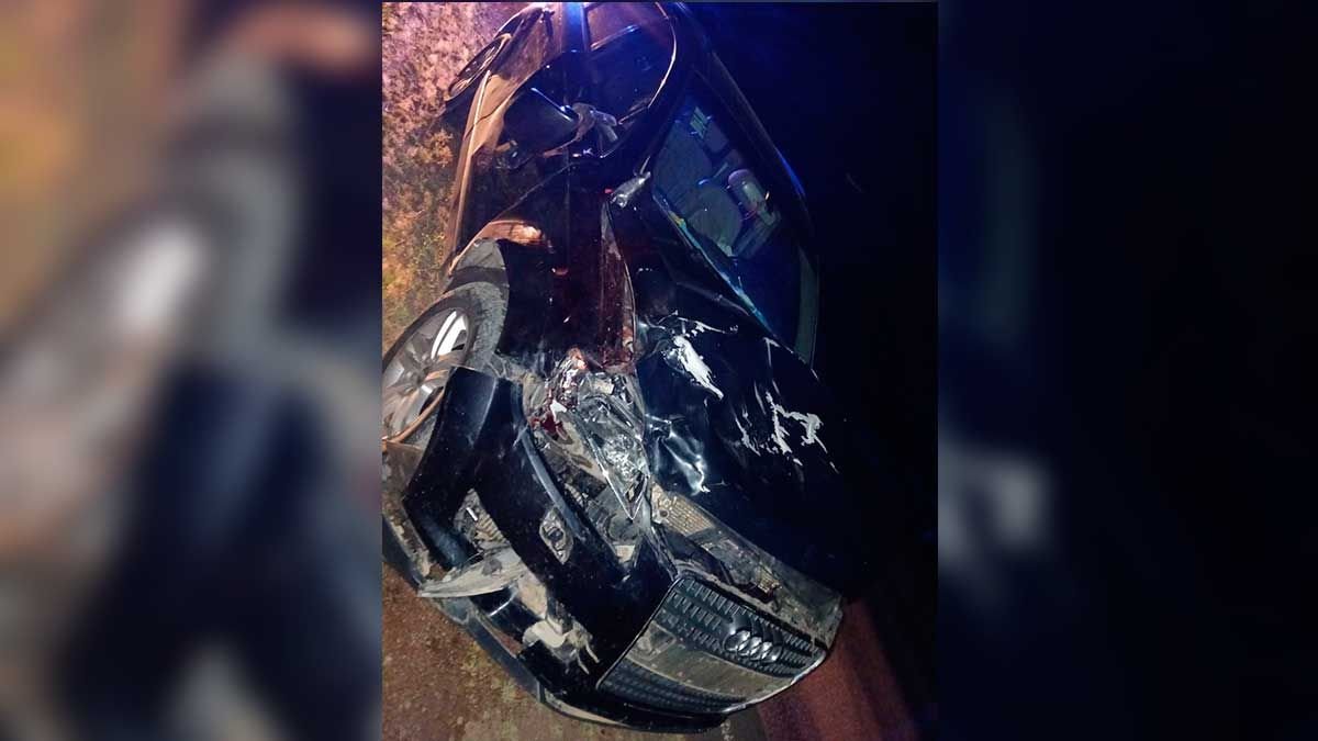 Kecelakaan parah di Jalan No. 92: Seorang pedagang yang bernama Keudi berhasil menyelamatkan hewan