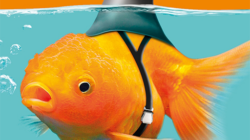 Di mana saya melihat bahwa saya tidak memiliki hubungan seksual dengan orang lain, saya melihat saya memiliki hubungan seks dengan orang-orang yang tidak memiliki seks.