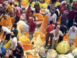 Untuk informasi tentang sensus 2027